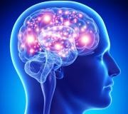 Hợp chất tự nhiên phòng ngừa bệnh suy giảm trí nhớ